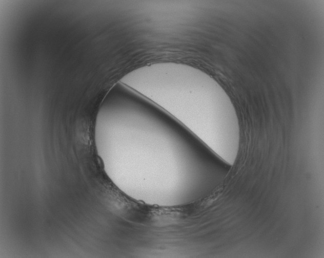 X0000074000331200608211114