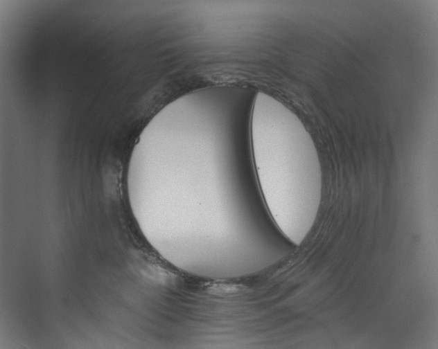 X0000074000332200608211114