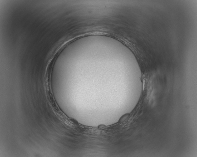 X0000074000339200608211113
