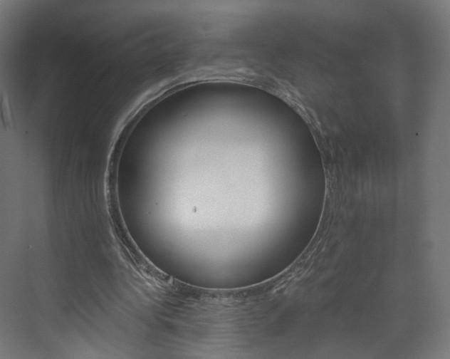 X0000074000340200608211113