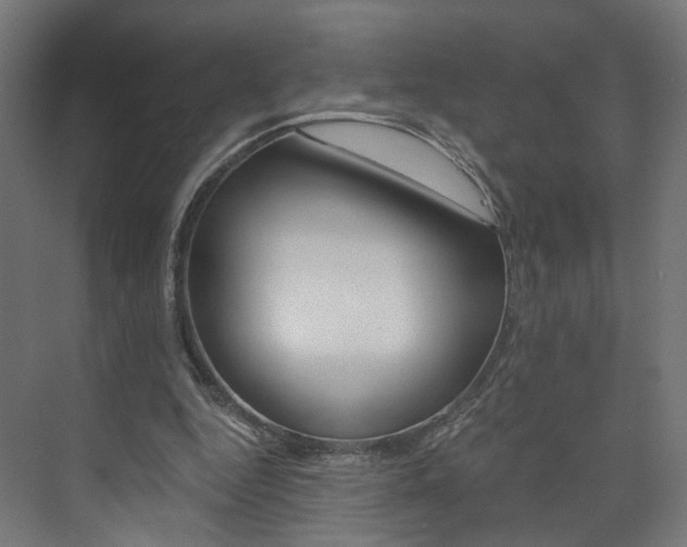 X0000074000344200608211113