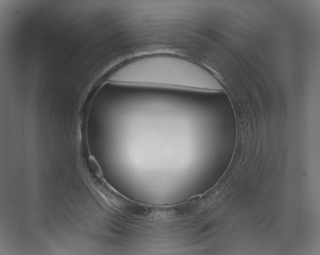 X0000074000350200608211113