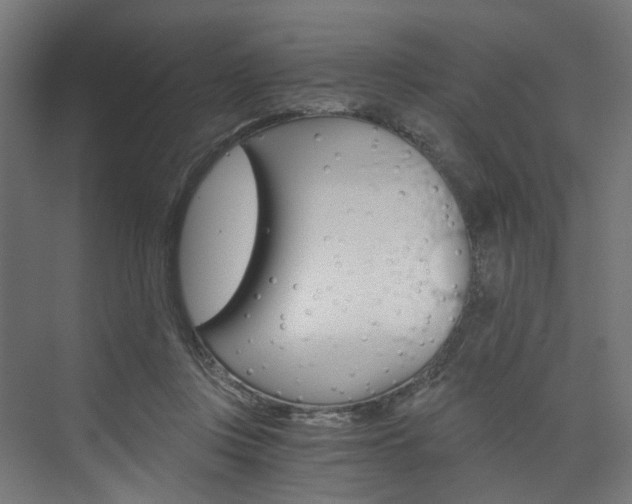 X0000074000359200608211114