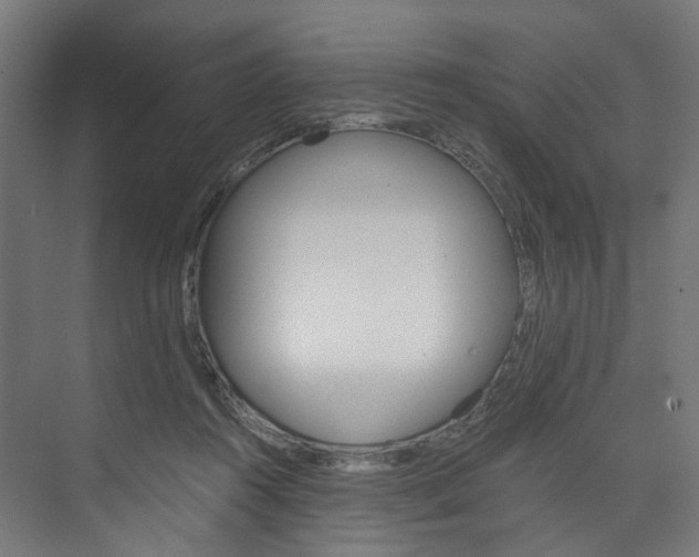 X0000074000360200608211114