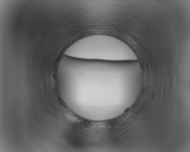 X0000074000377200608211114