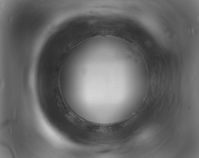 X0000074000383200608211114