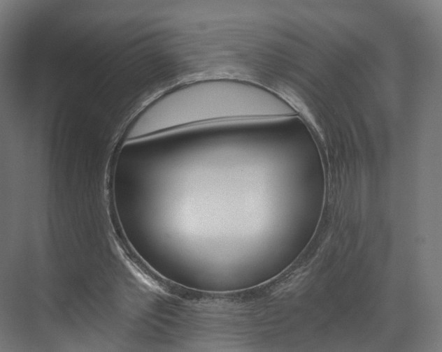 X0000074000389200608211113