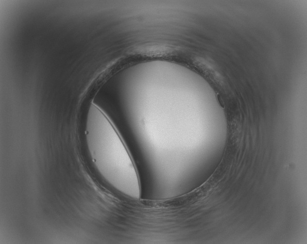 X0000074000400200608211113