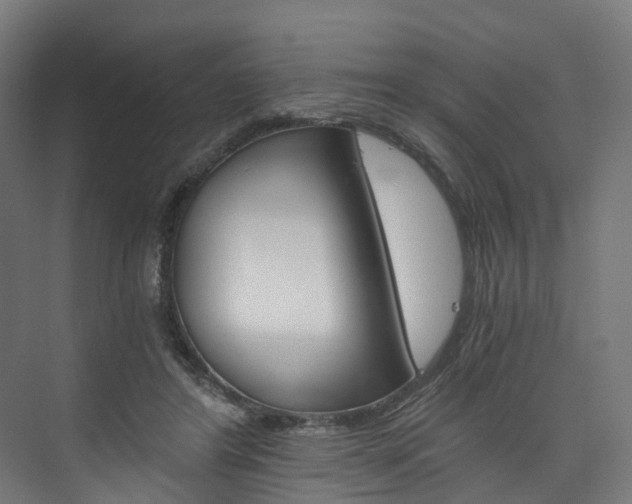X0000074000404200608211113