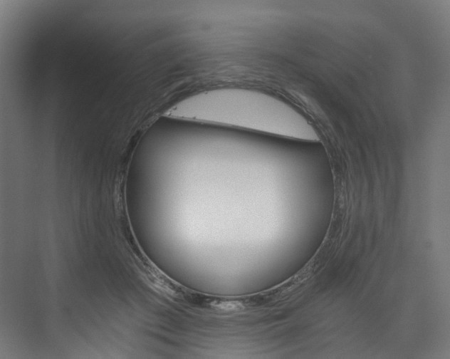 X0000074000409200608211113