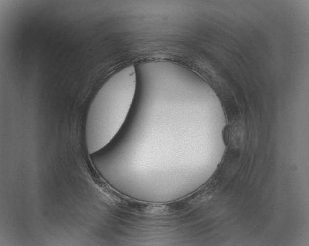 X0000074000410200608211113