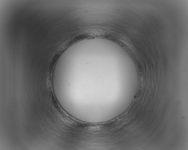 X0000074000411200608211113