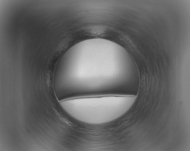 X0000074000412200608211113