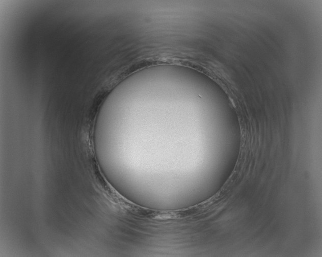 X0000074000415200608211113