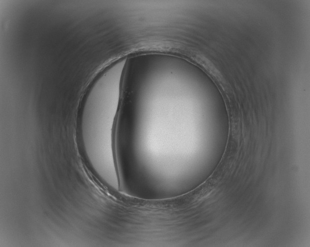 X0000074000434200608211112