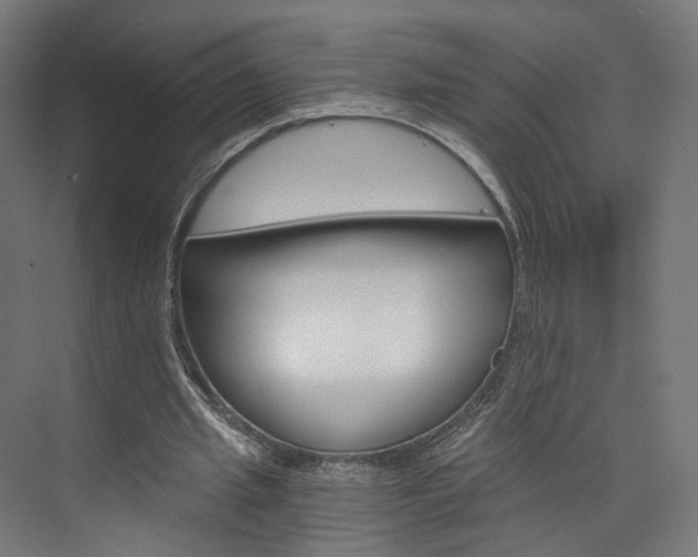 X0000074000437200608211112