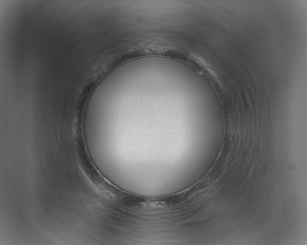 X0000074000451200608211112
