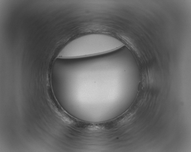 X0000074000453200608211112