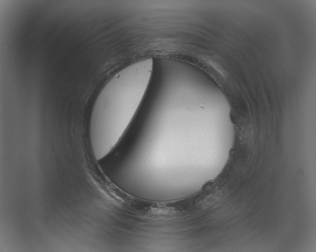 X0000074000455200608211112
