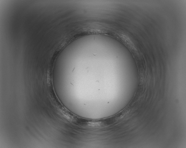 X0000074000457200608211112
