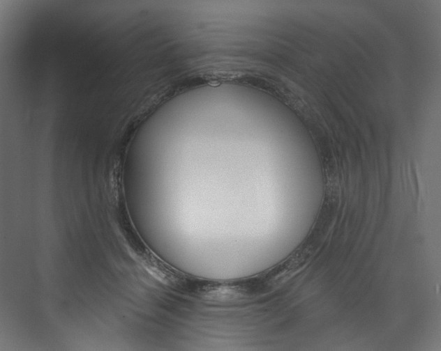 X0000074000460200608211112
