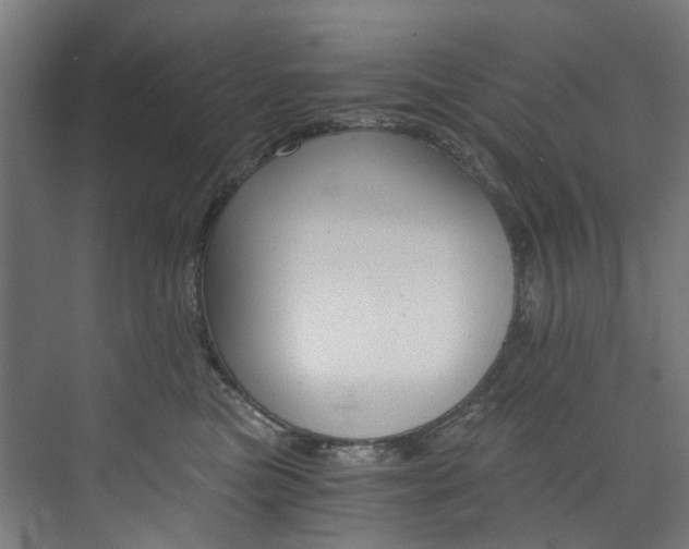 X0000074000473200608211112