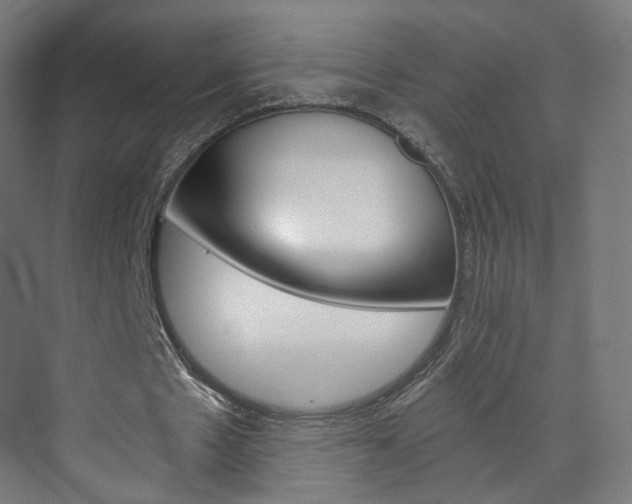 X0000074000481200608211112