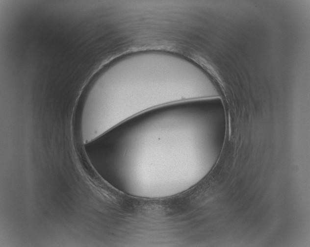 X0000074000483200608211112