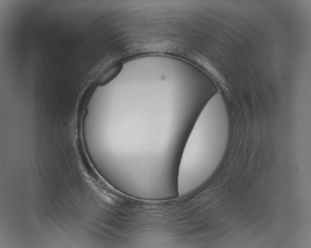 X0000074000486200608211111