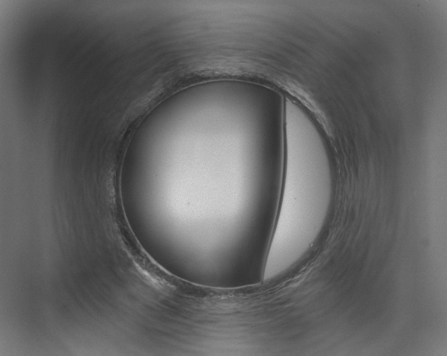 X0000074000489200608211111