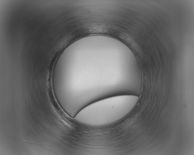 X0000074000490200608211111