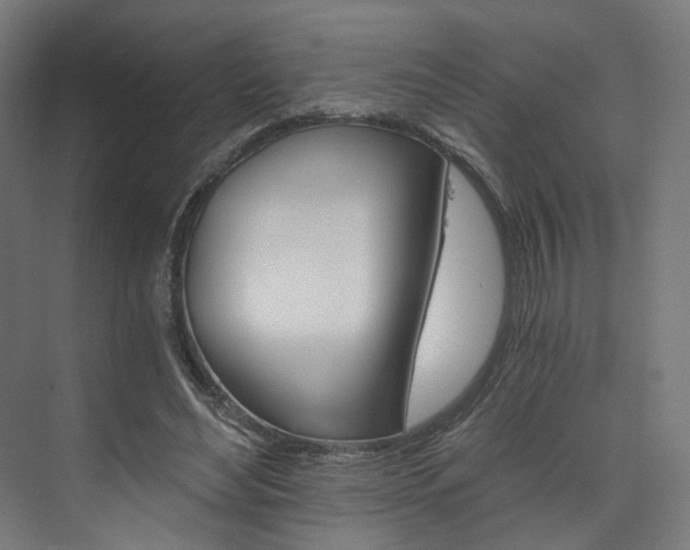 X0000074000492200608211111