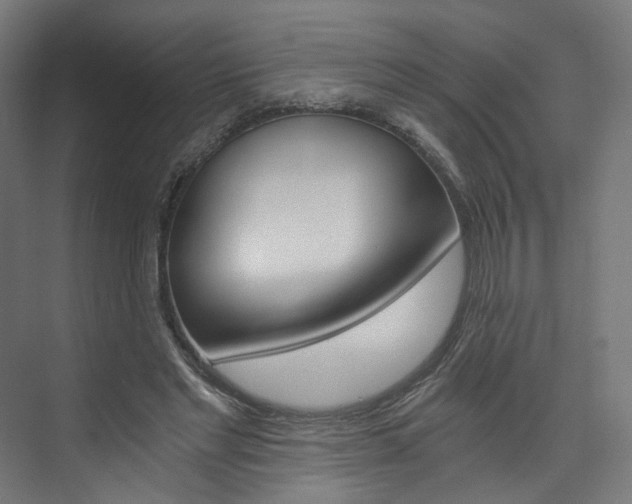 X0000074000493200608211111