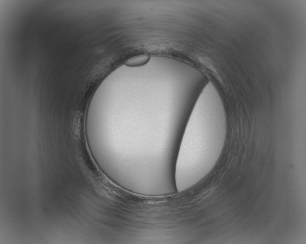 X0000074000495200608211111