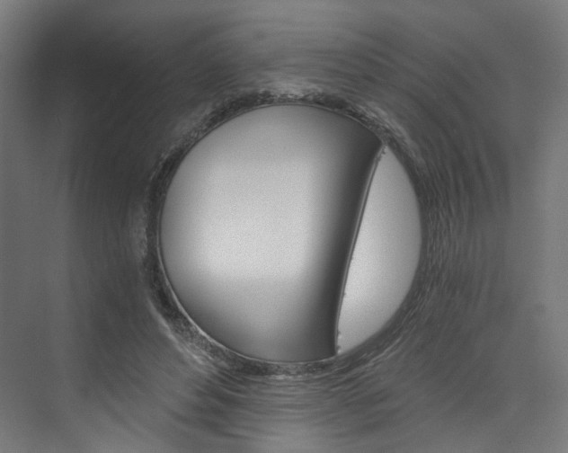 X0000074000496200608211111