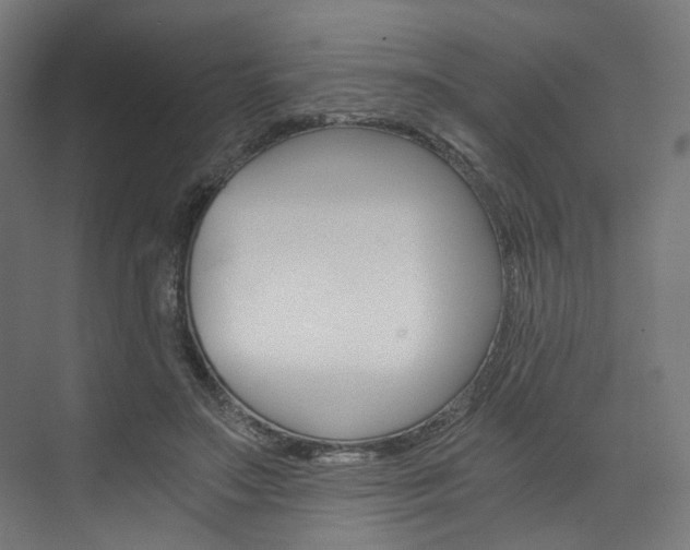 X0000074000499200608211111
