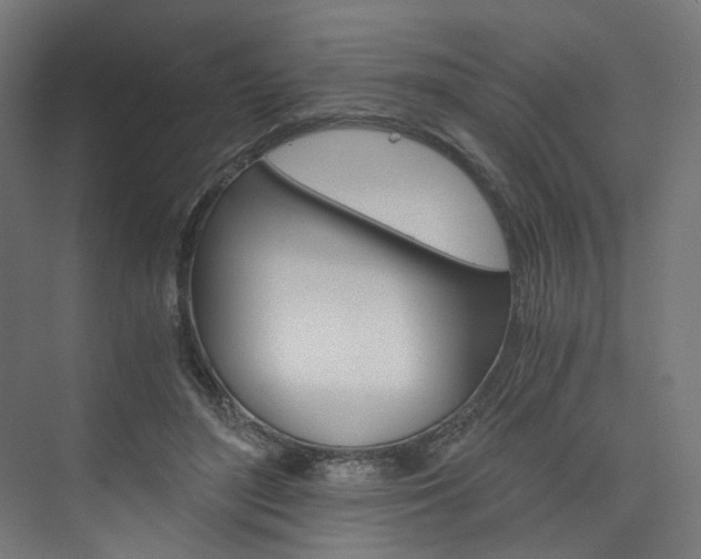 X0000074000500200608211111