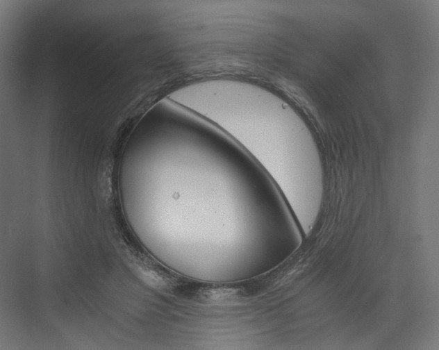 X0000074000501200608211111