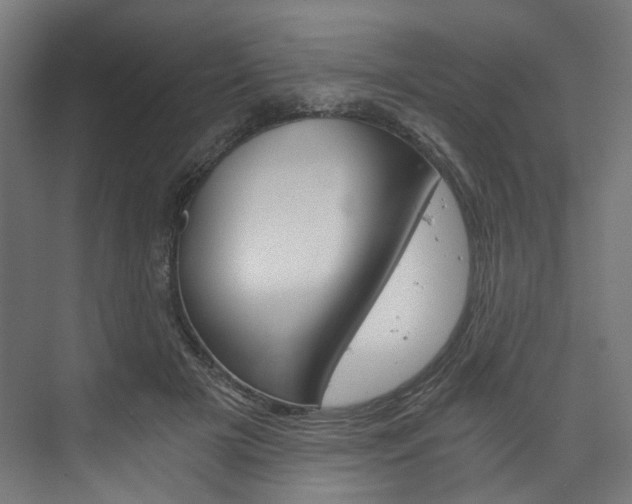 X0000074000505200608211111