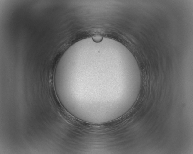 X0000074000507200608211111
