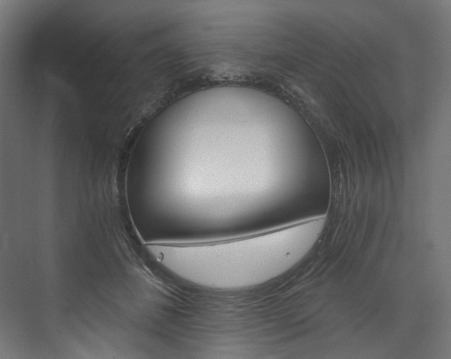 X0000074000508200608211111