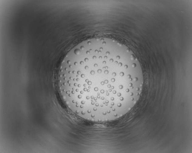 X0000074000519200608211111