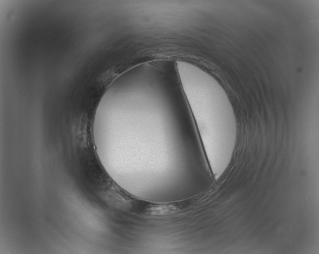 X0000074000525200608211111