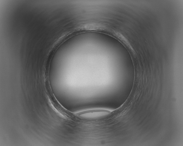 X0000074000530200608211110