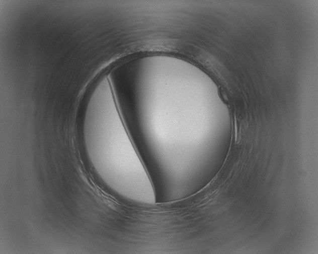 X0000074000531200608211110
