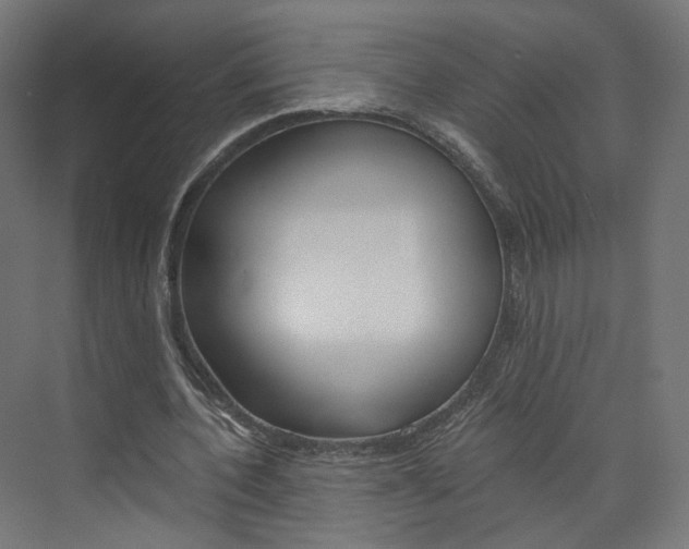 X0000074000532200608211110