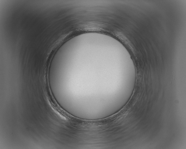X0000074000533200608211110