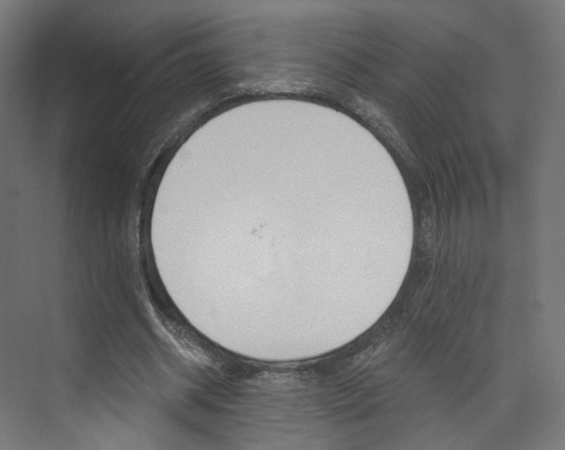 X0000074000534200608211110