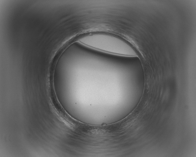 X0000074000535200608211110