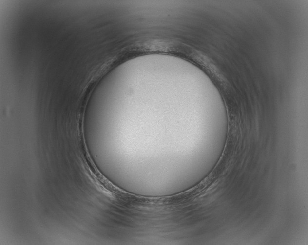 X0000074000537200608211110